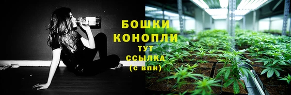 шишки Кизел