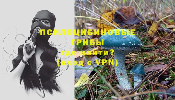 альфа пвп Белокуриха